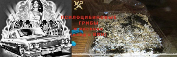 кокаин премиум Сосновый Бор