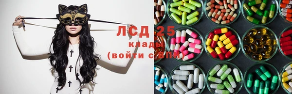 дмт Снежногорск