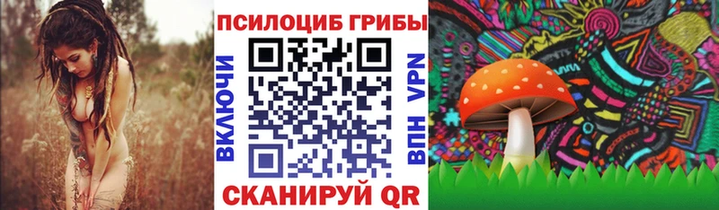 Псилоцибиновые грибы мицелий  Купить где  Великий Новгород 